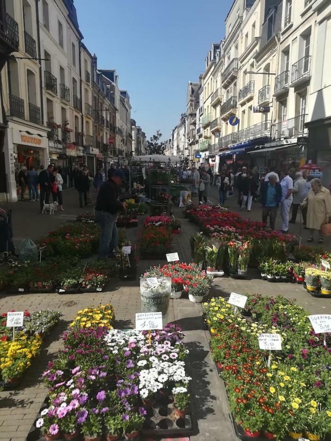 Bienvenue Sous Les Toits De Dieppe *** Hypercentre Kültér fotó